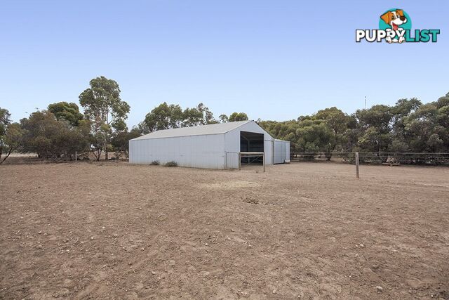 53 Hawke Road KADINA SA 5554