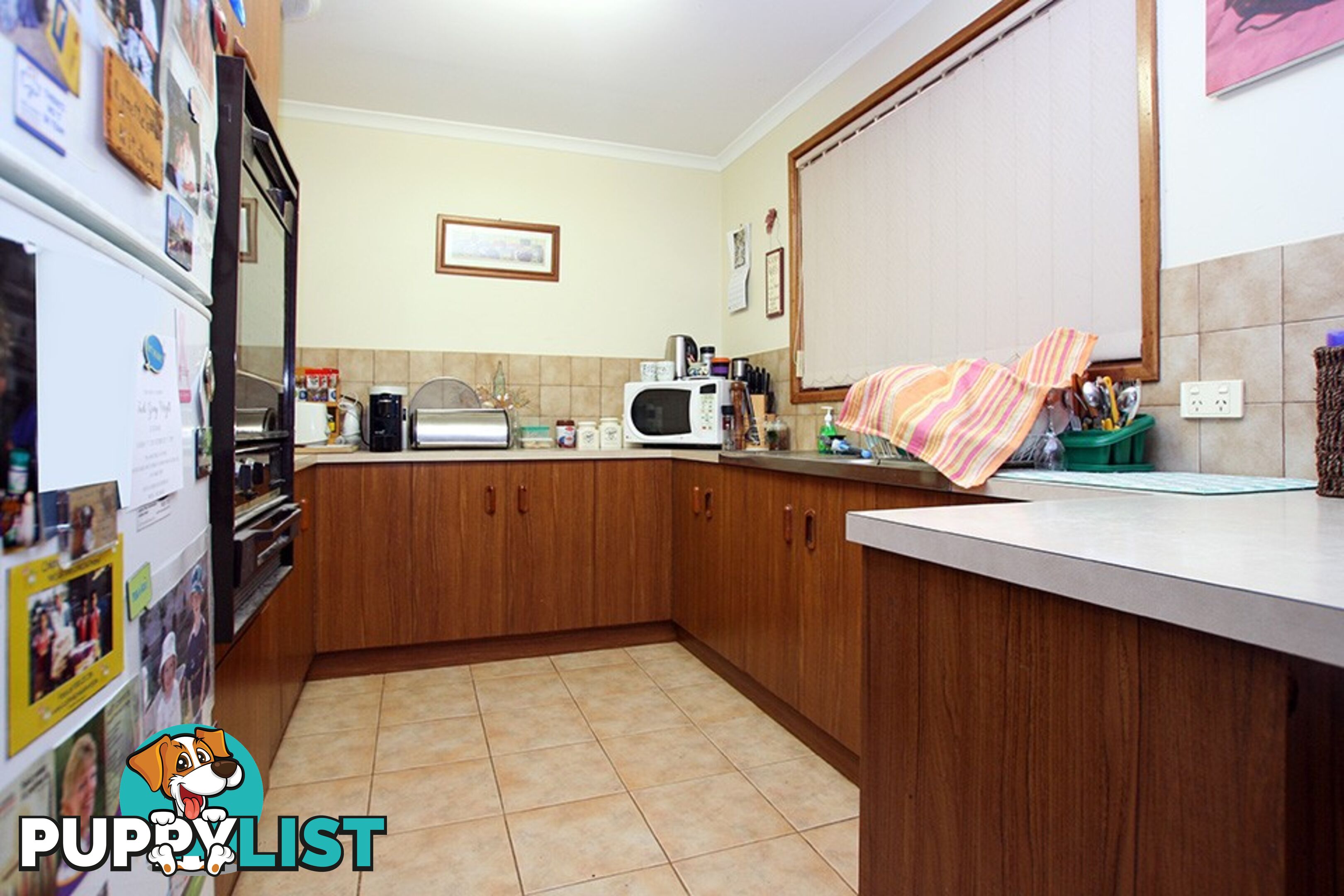 11 Myra Street KADINA SA 5554