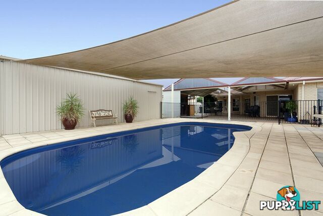 15 Abbott Drive KADINA SA 5554