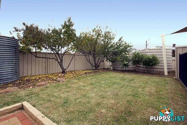 15 Abbott Drive KADINA SA 5554