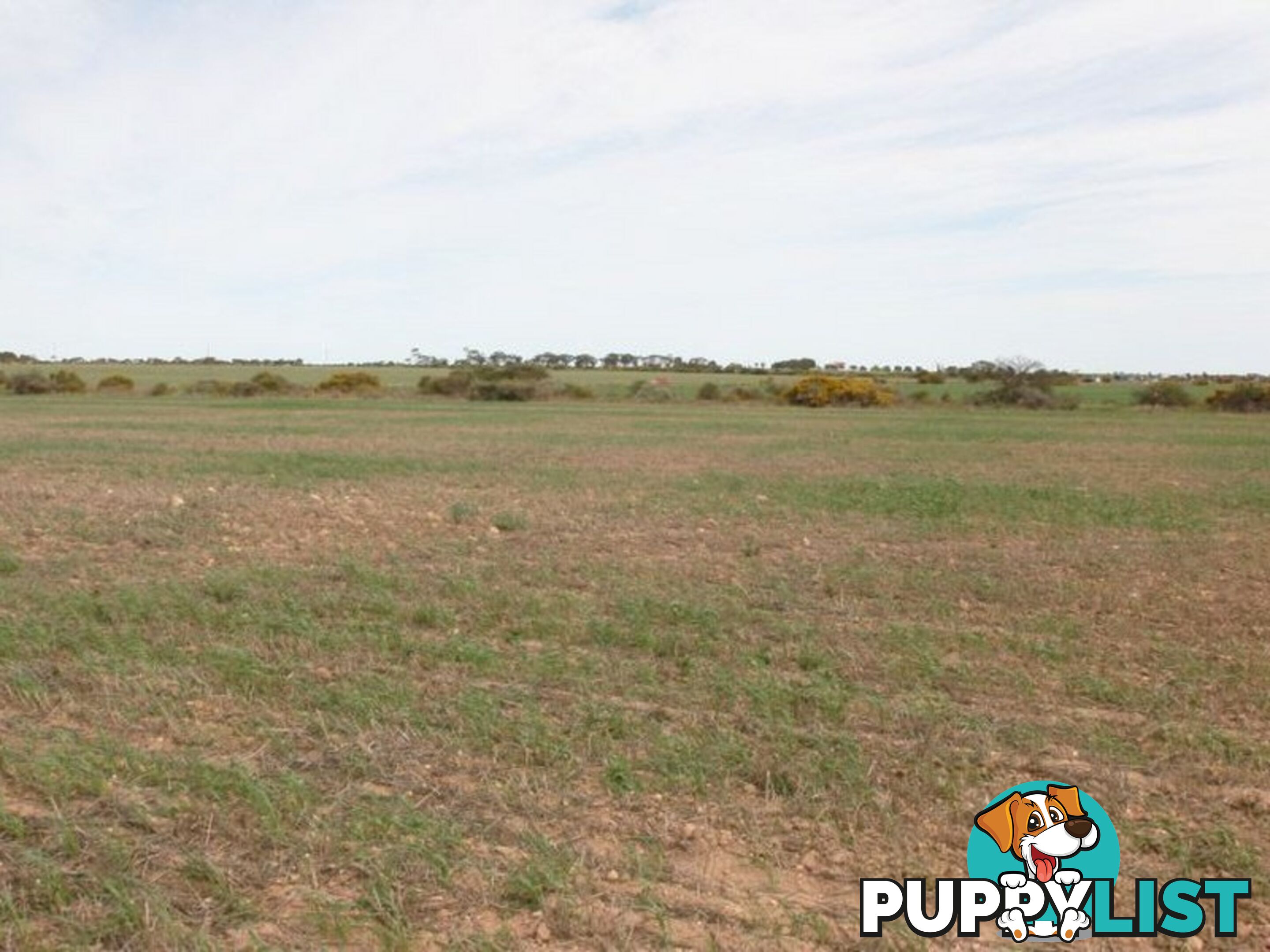 Lot 102 Donaldson Road KADINA SA 5554