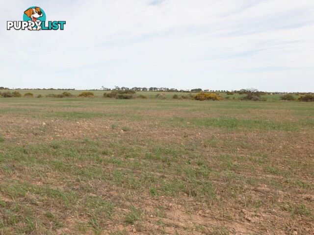 Lot 102 Donaldson Road KADINA SA 5554