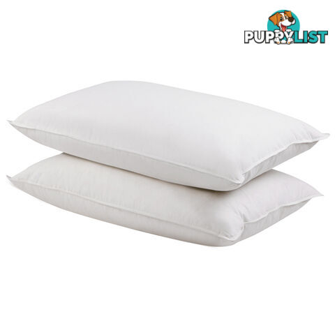 2 Pcs Duck Feathers Down Pillow w/ Bag