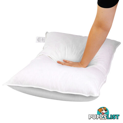 2 Pcs Duck Feathers Down Pillow w/ Bag