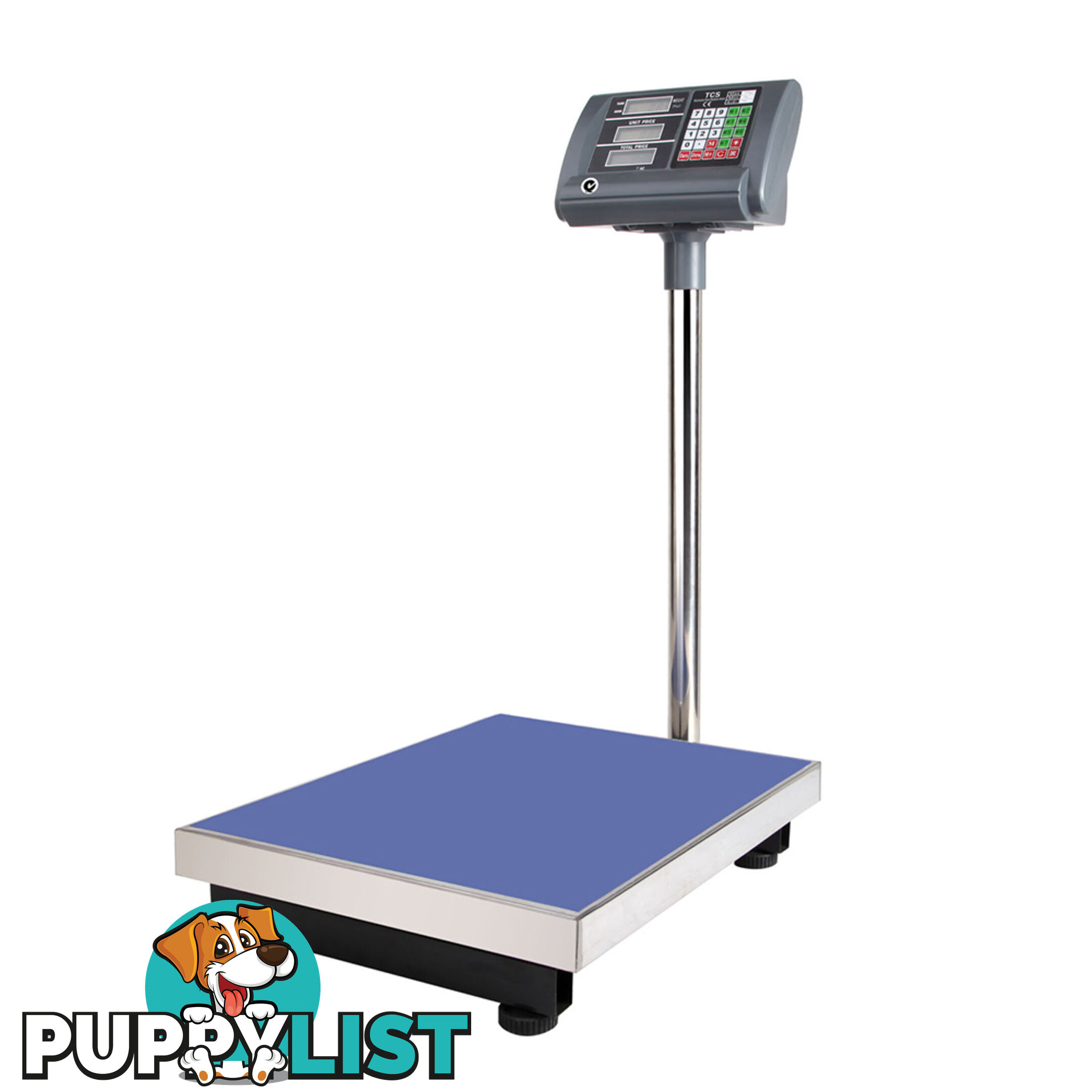 Electronic Computing Platform Digital Scale 300kg