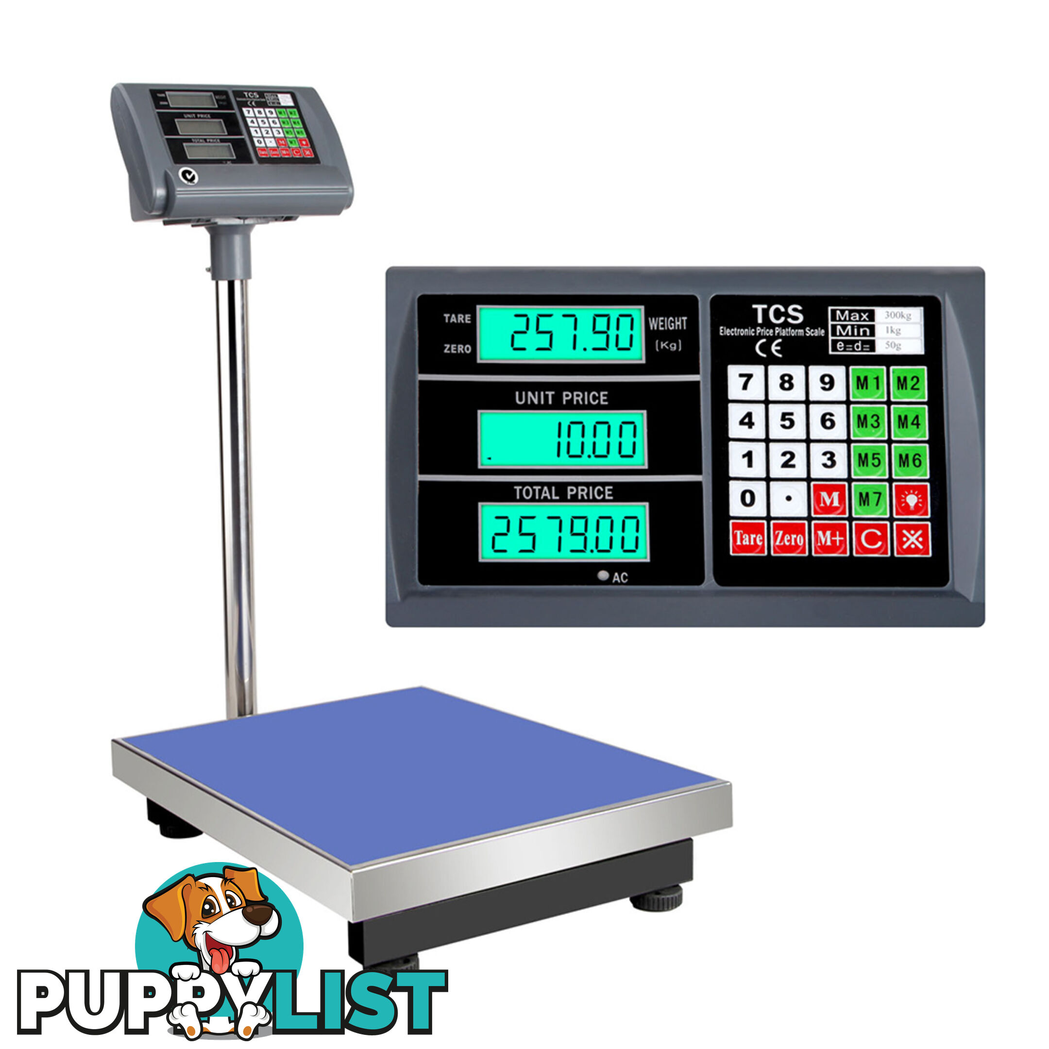 Electronic Computing Platform Digital Scale 300kg