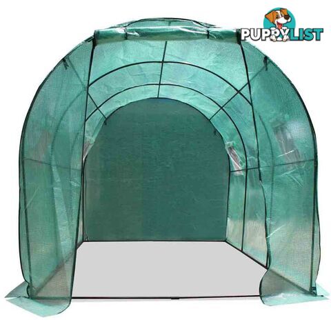 Greenhouse with Green PE Cover - 3M x 2M