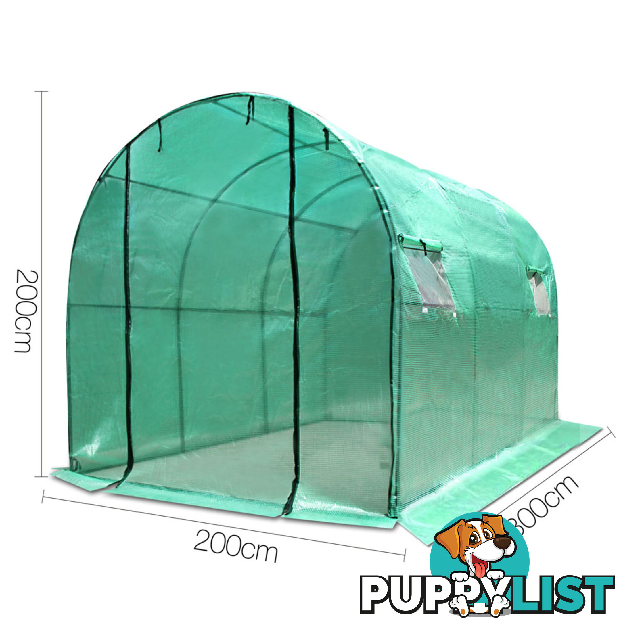 Greenhouse with Green PE Cover - 3M x 2M