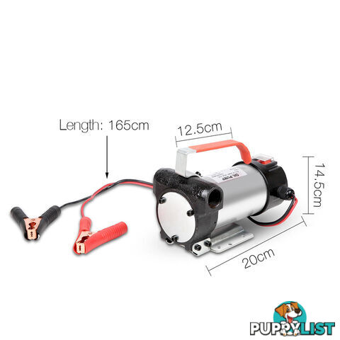 12V DC Diesel & Oil Transfer Pump