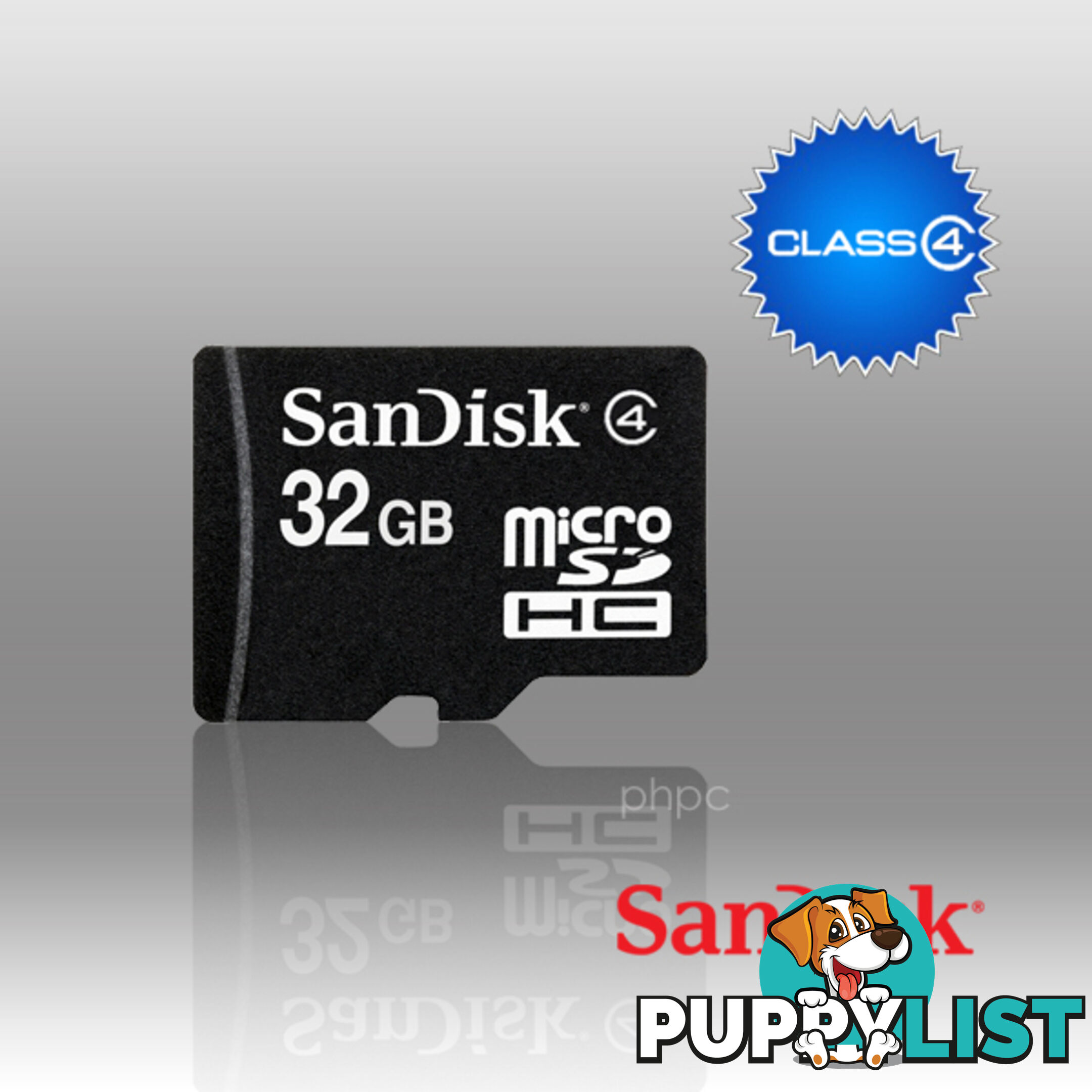 SanDisk microSD SDQ 32GB