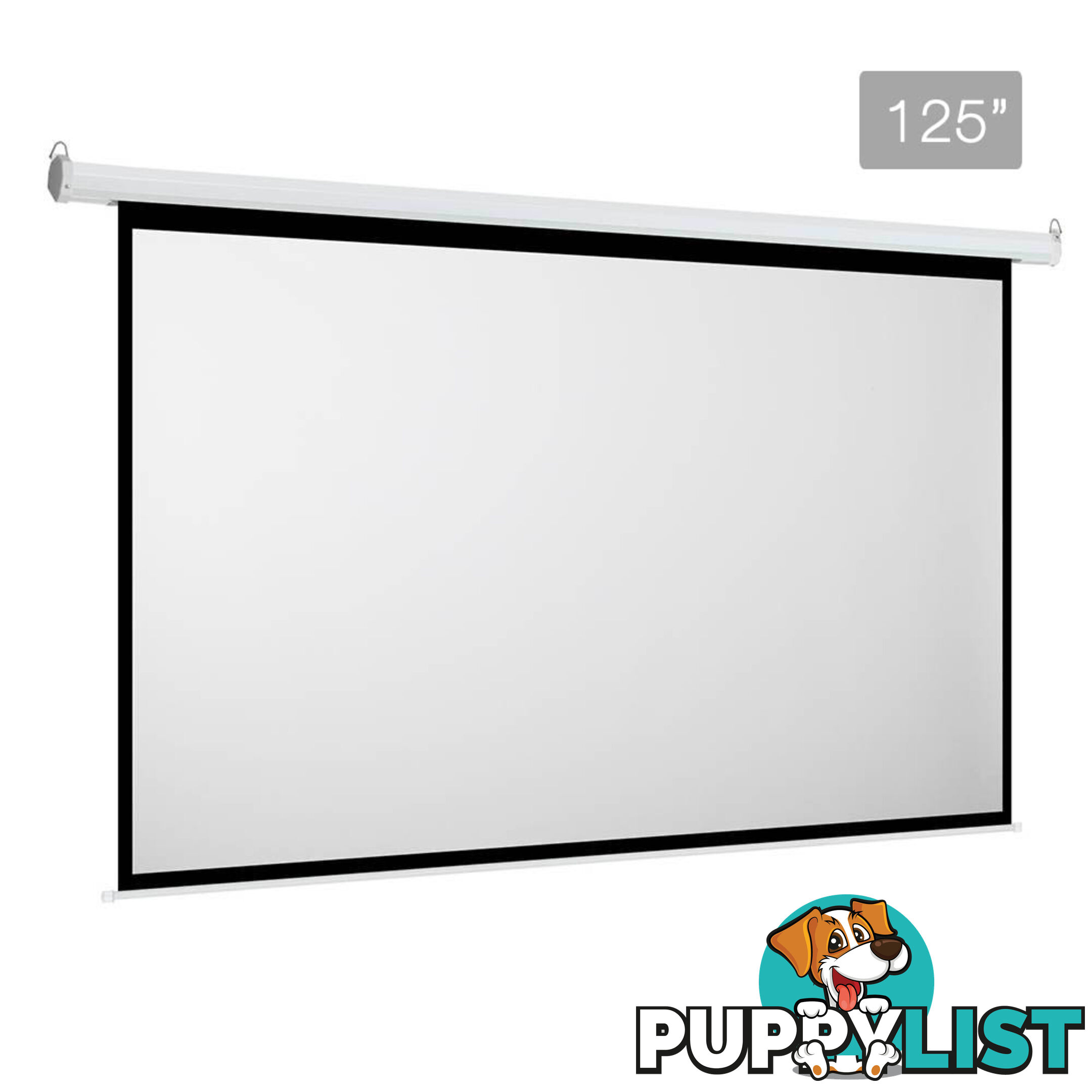 Electric Projector Screen - 317 cm