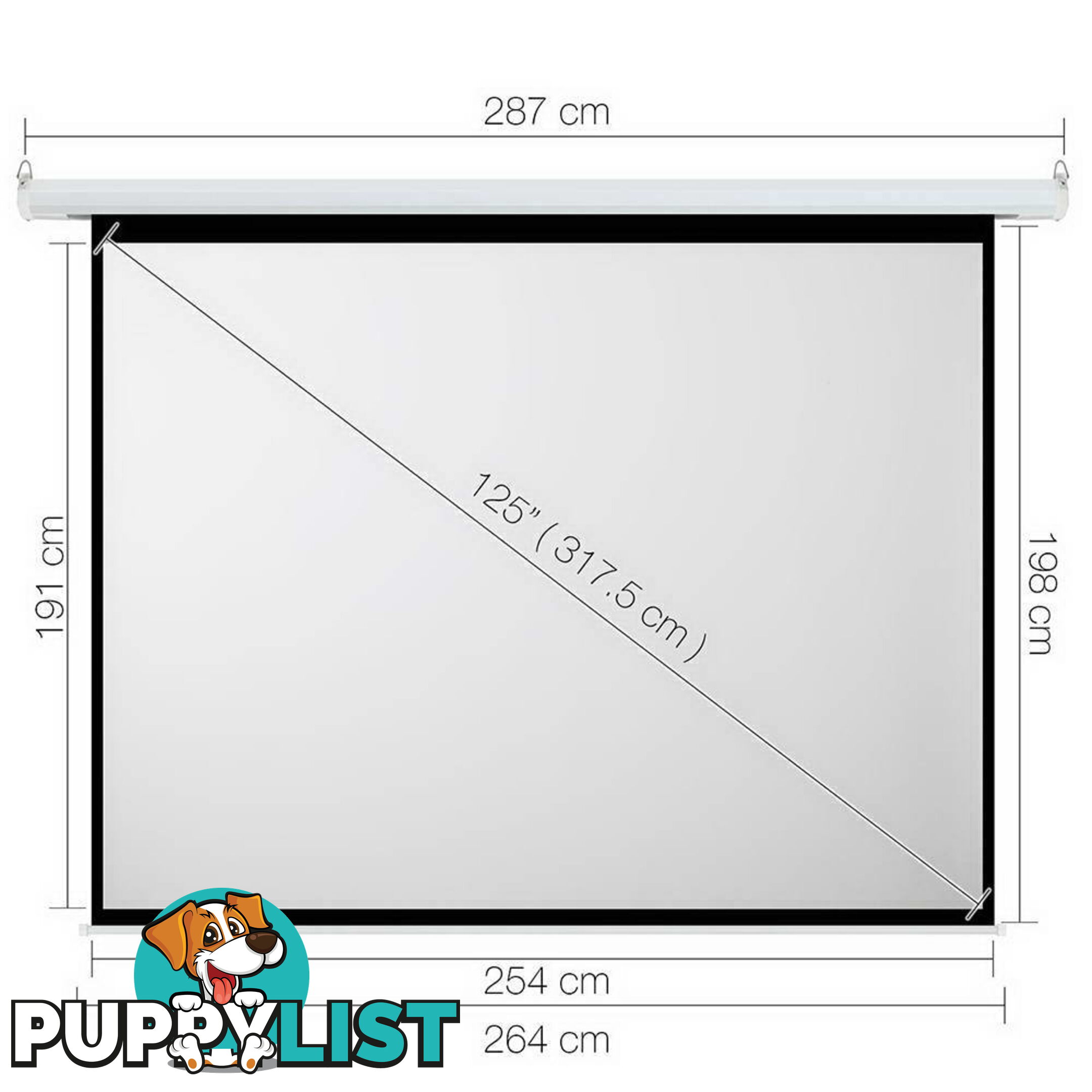 Electric Projector Screen - 317 cm