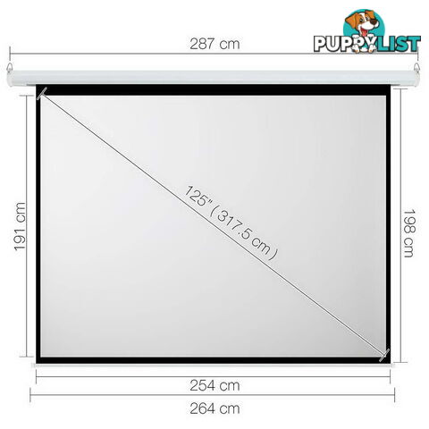 Electric Projector Screen - 317 cm