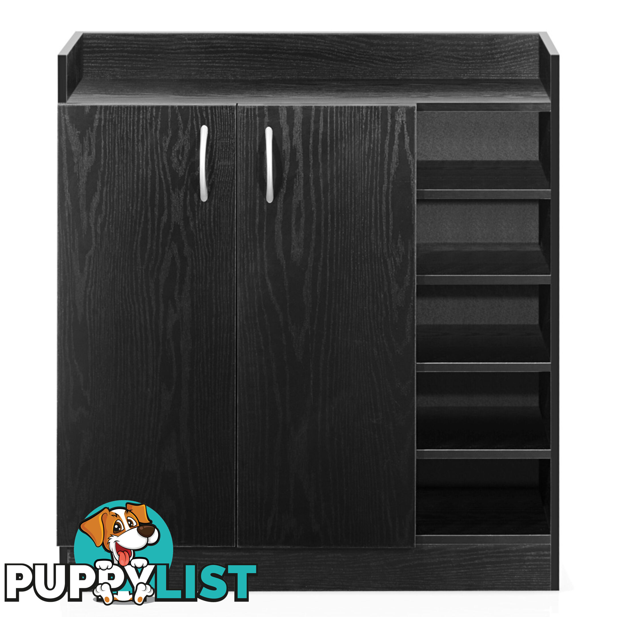 2 Doors Shoe Cabinet Storage Cupboard Black