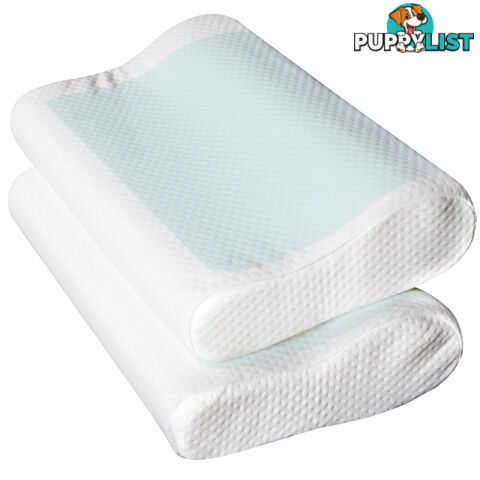 Set of 2 Cool Gel Top Memory Foam Pillow