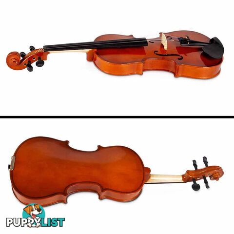 Full Size 4/4 Natural Wooden Beginner Violin Set Brown