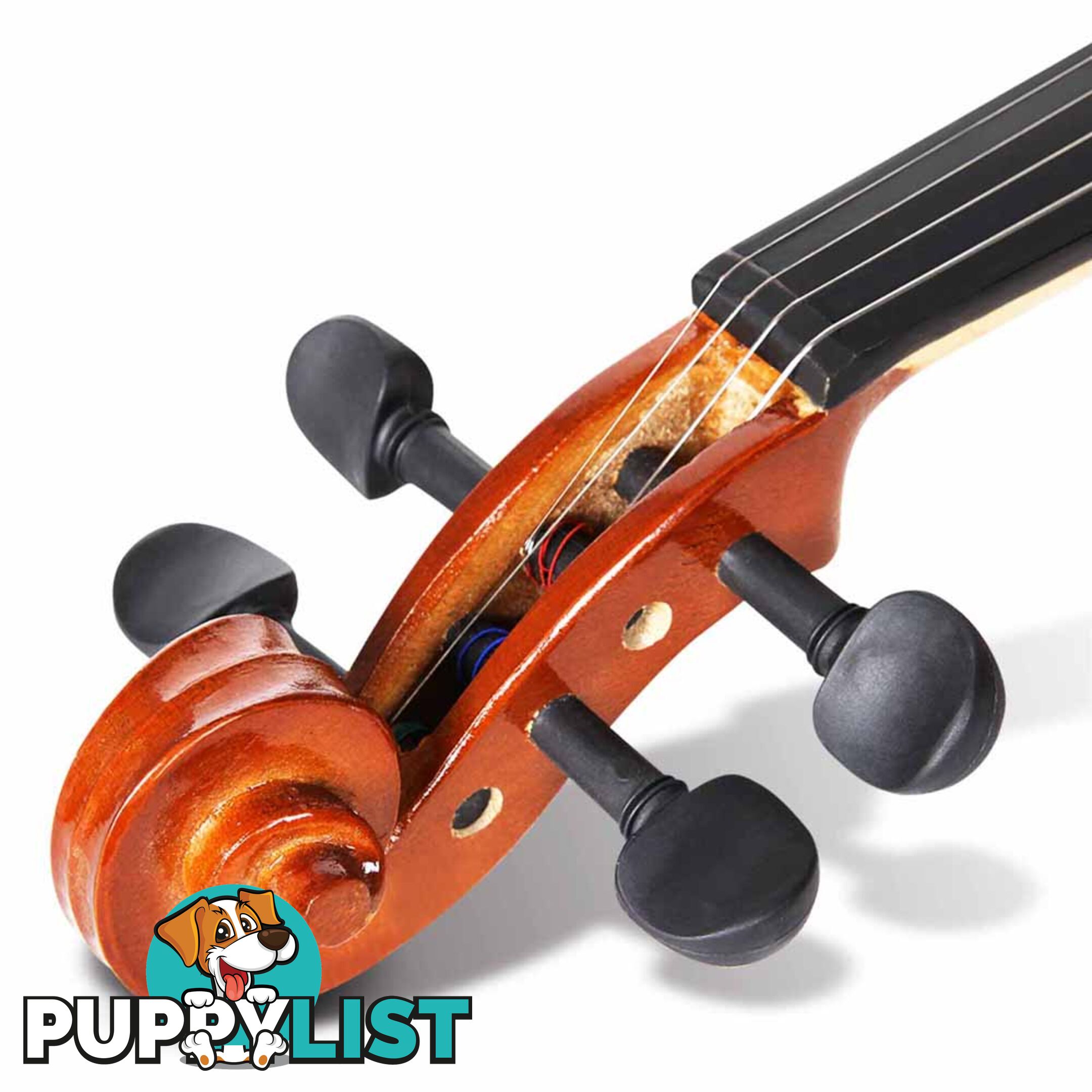 Full Size 4/4 Natural Wooden Beginner Violin Set Brown