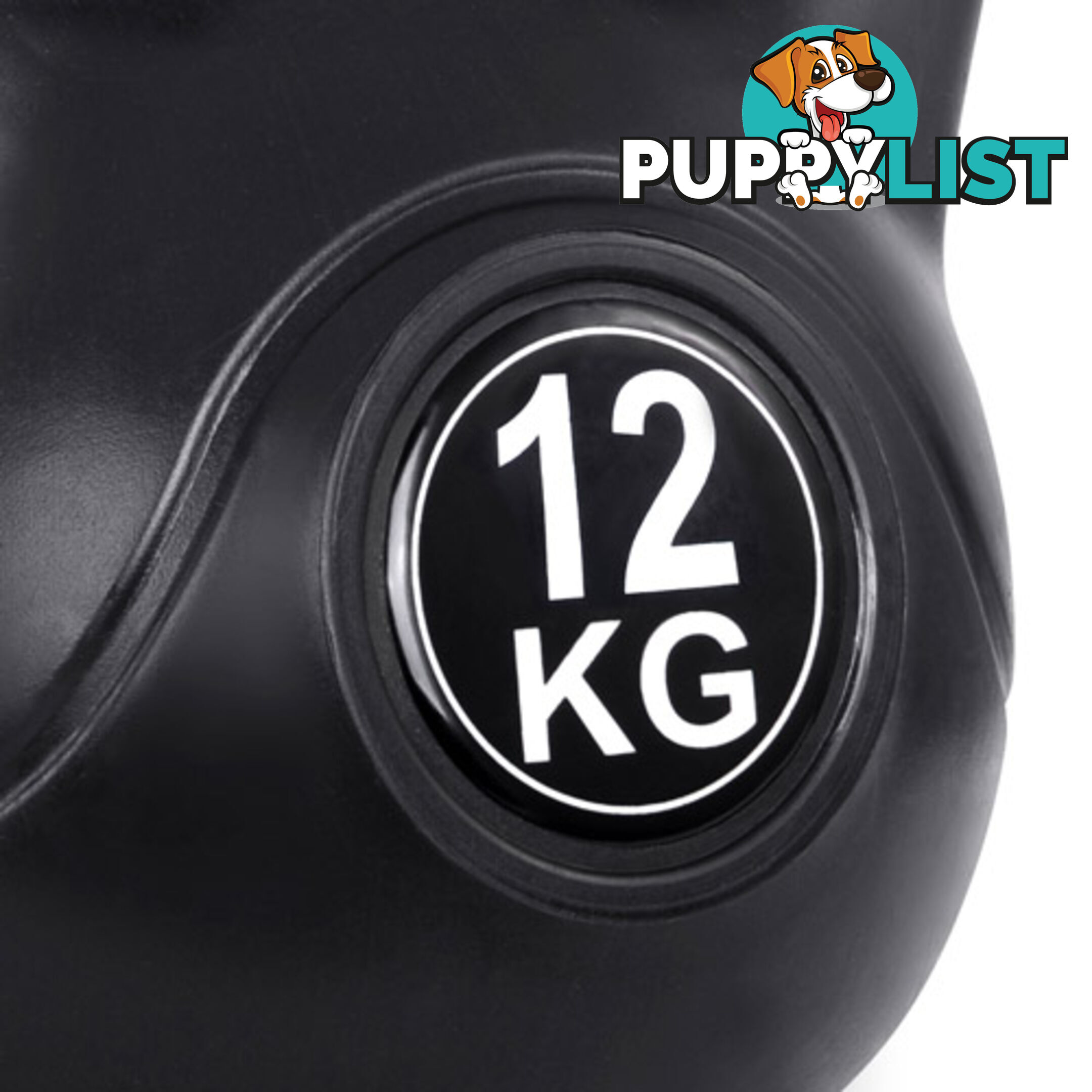 Kettlebells Fitness Exercise Kit 12kg