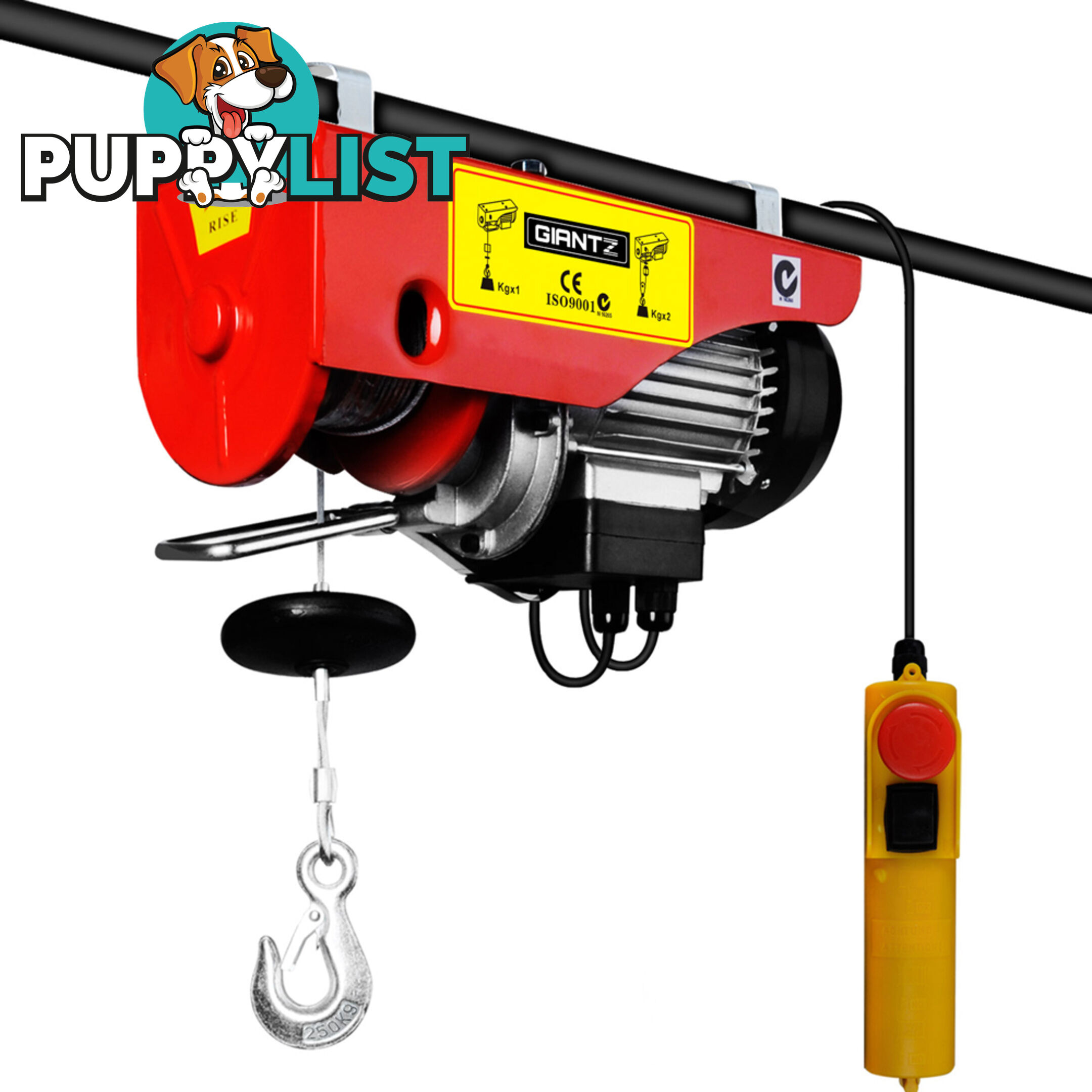 125/250kg 510 W Electric Hoist Winch