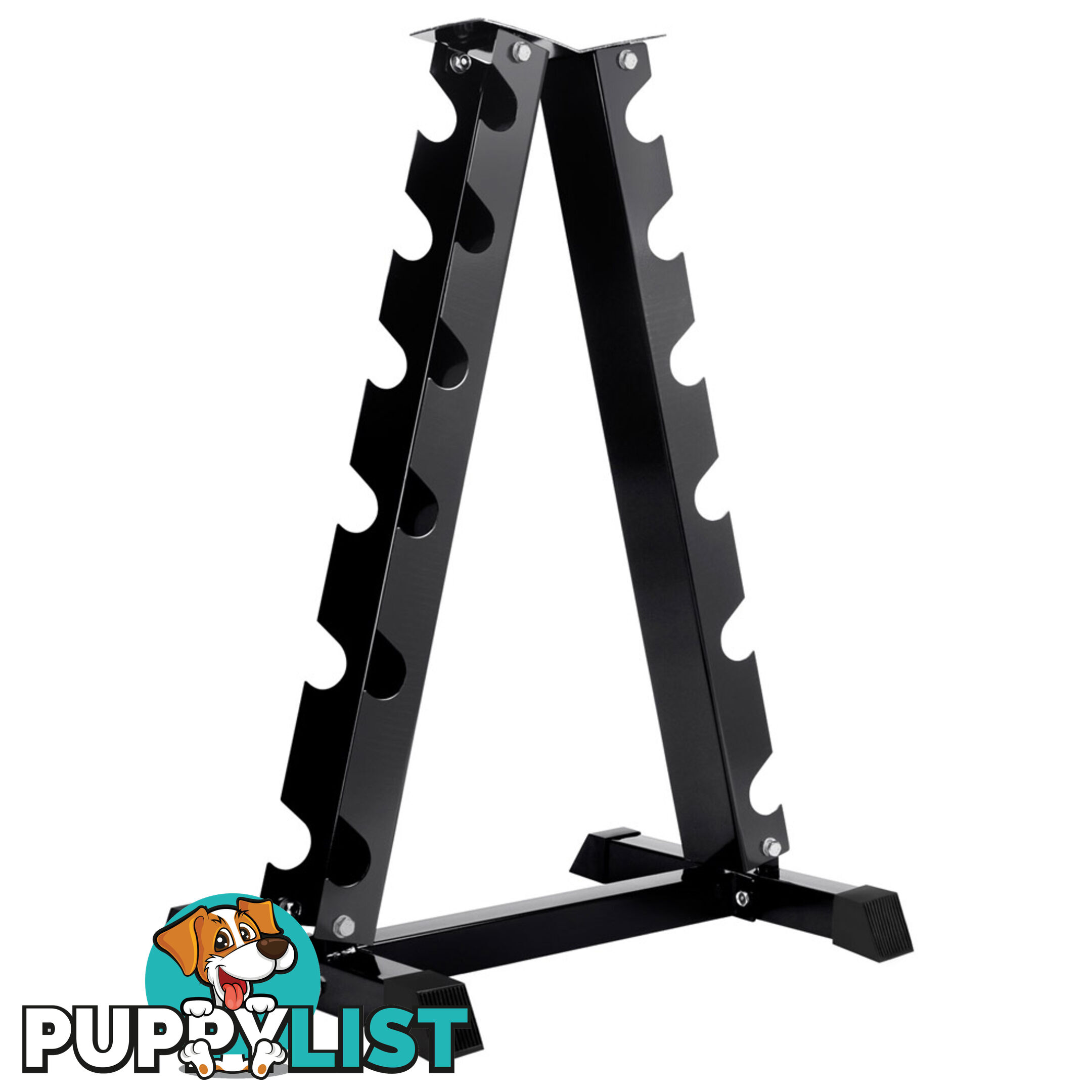 Vertical Dumbbell Storage Rack 6 Pairs