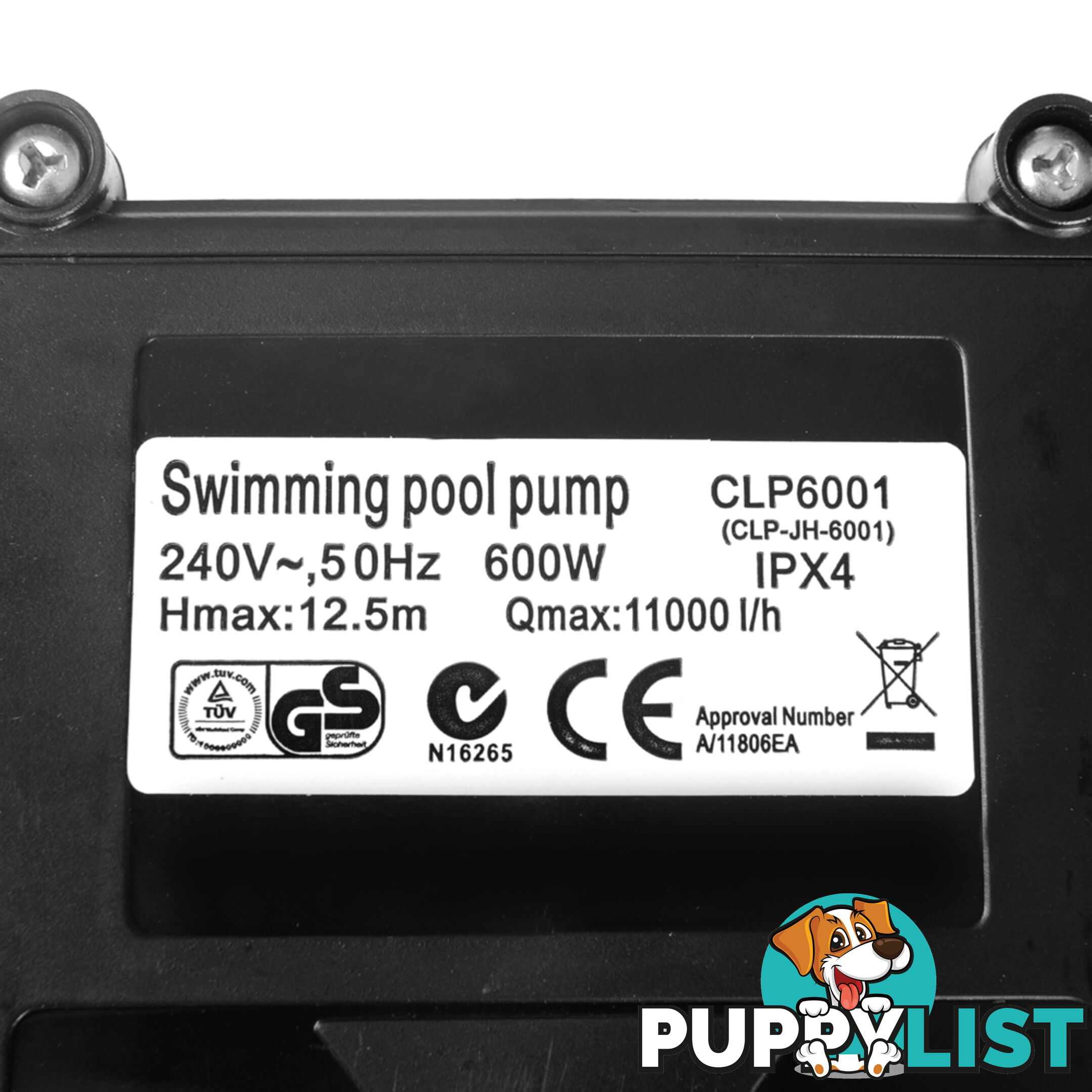 600w Swimming Pool Pump 11000 L per hour