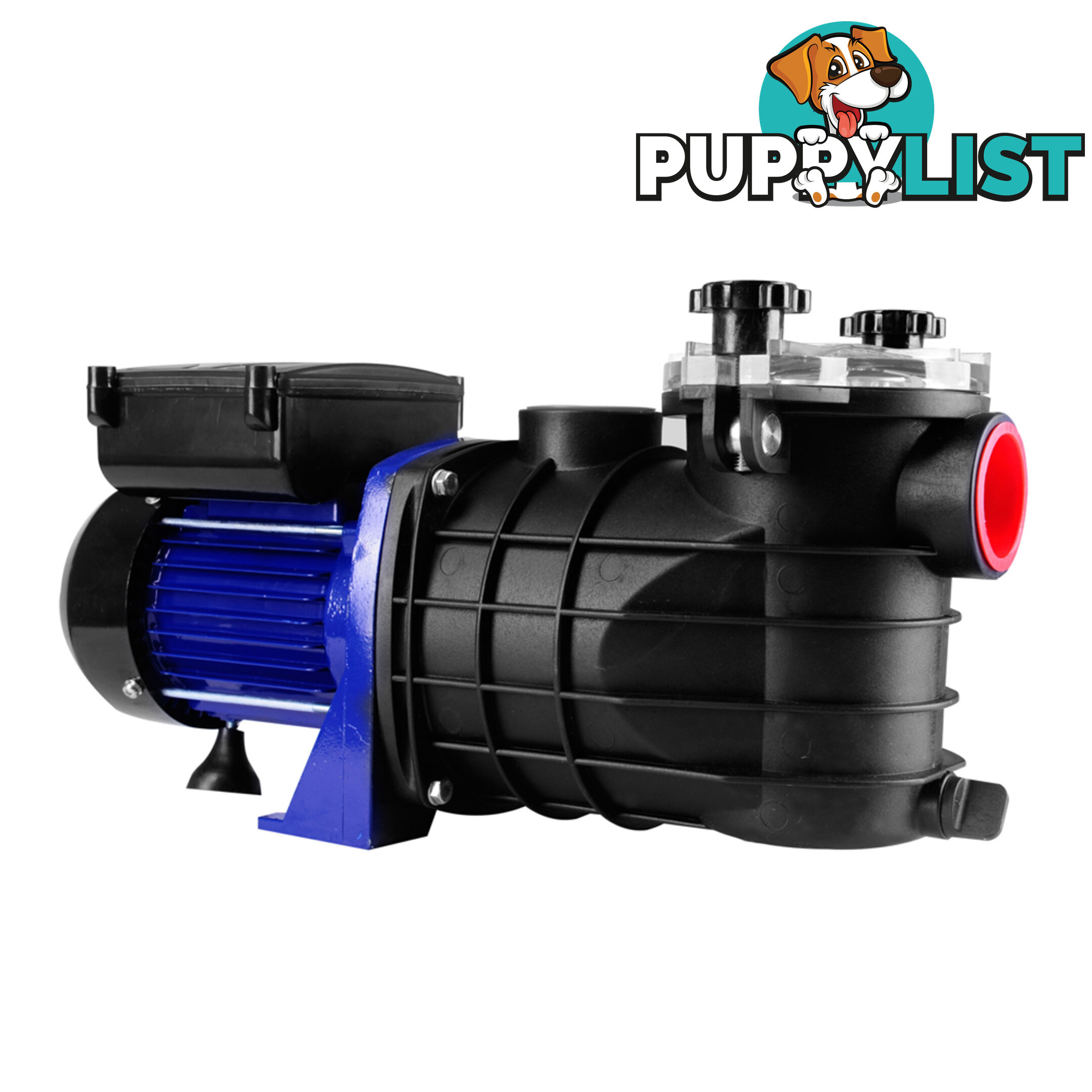 600w Swimming Pool Pump 11000 L per hour