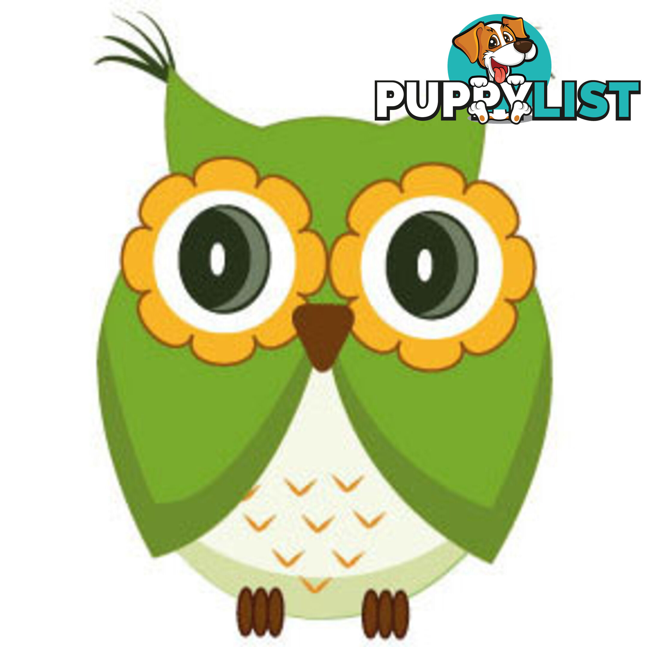 10 X Cute green owl Wall Sticker - Totally Movable