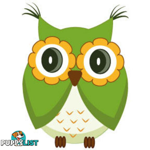 10 X Cute green owl Wall Sticker - Totally Movable