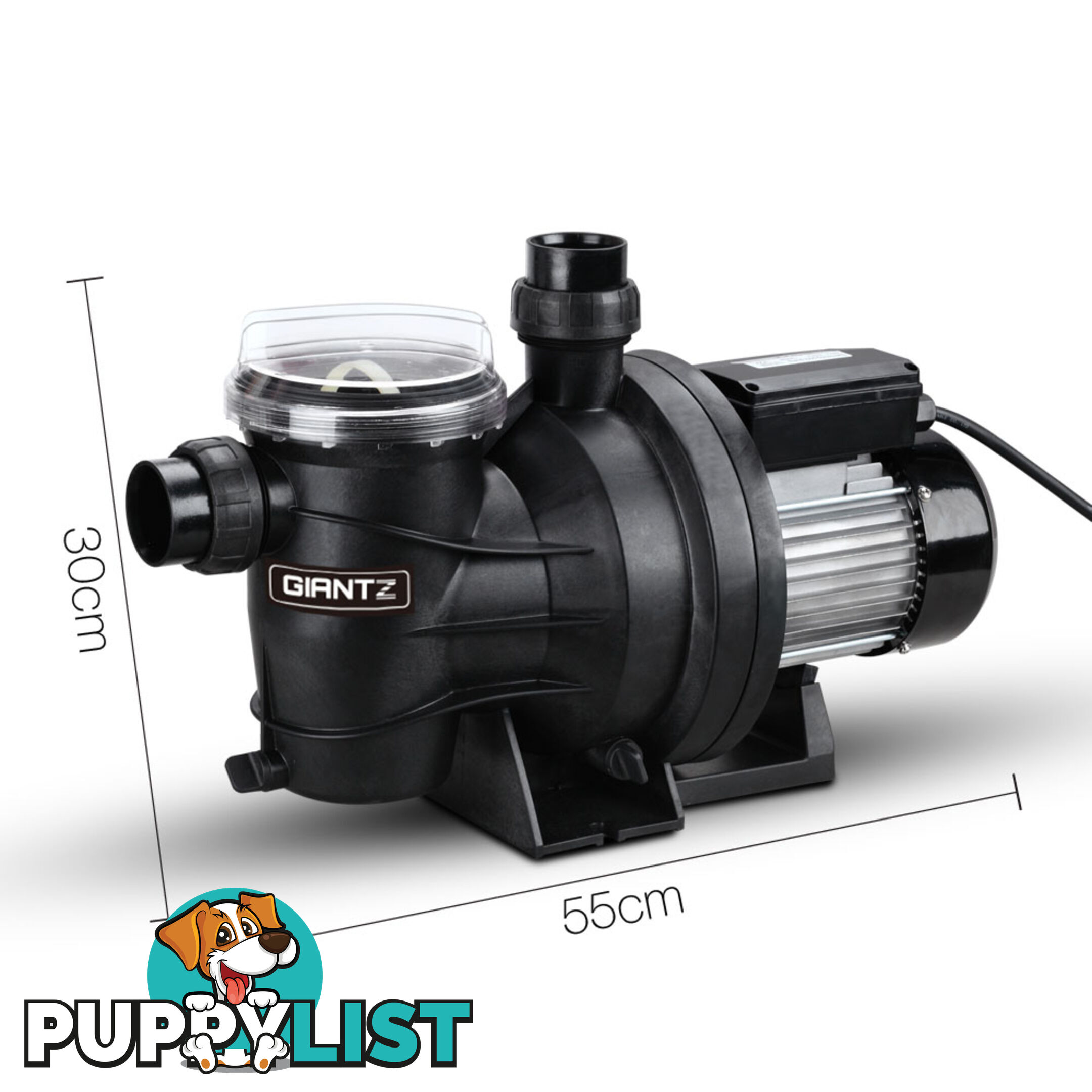 1200w Swimming Pool Pump 23000L/hour