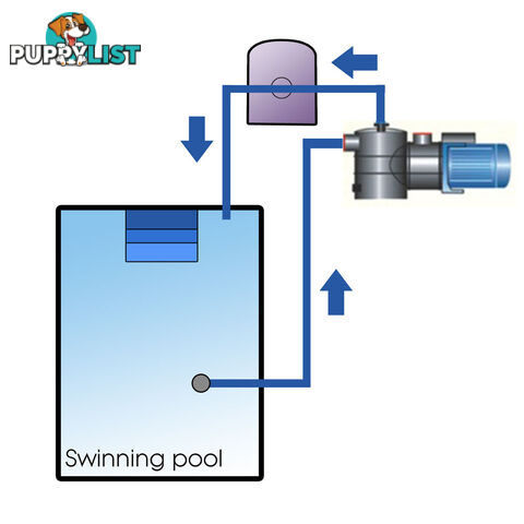 1200w Swimming Pool Pump 23000L/hour