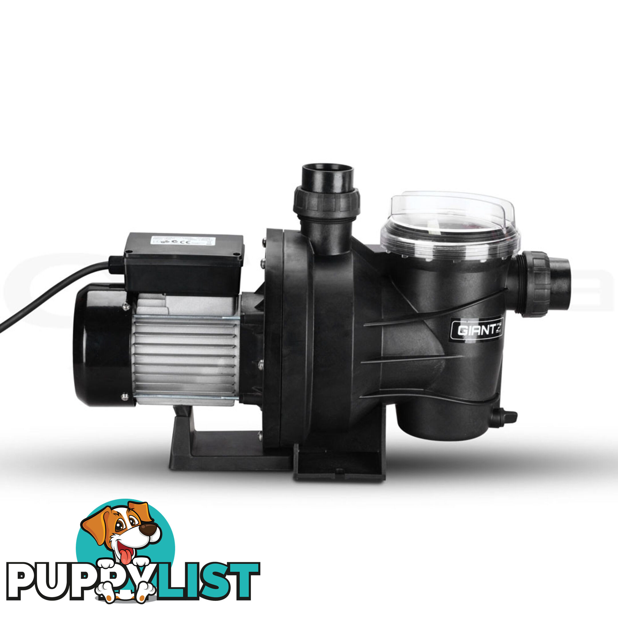 1200w Swimming Pool Pump 23000L/hour