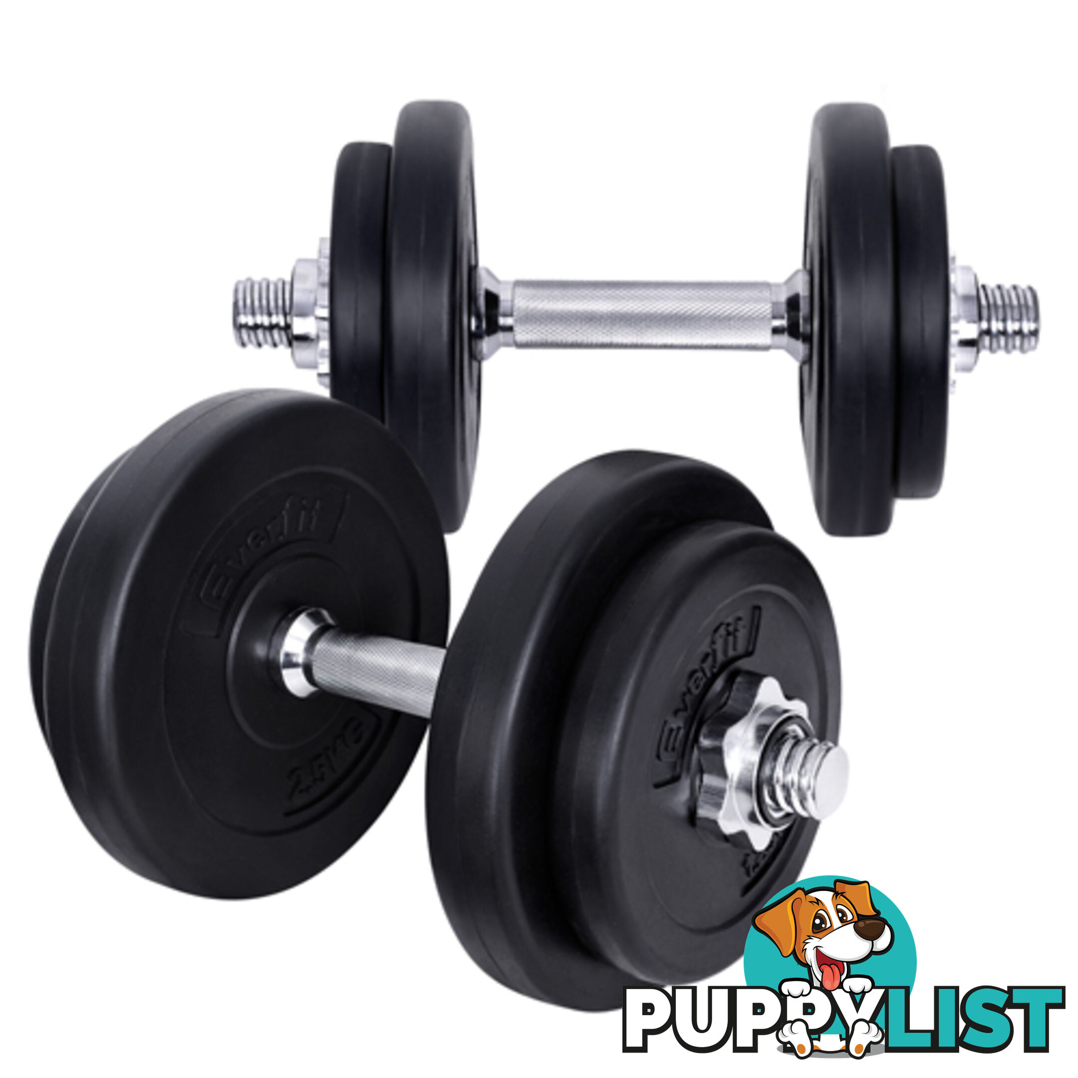 20kg Fitness Gym Exercise Dumbbell Set