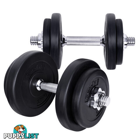 20kg Fitness Gym Exercise Dumbbell Set