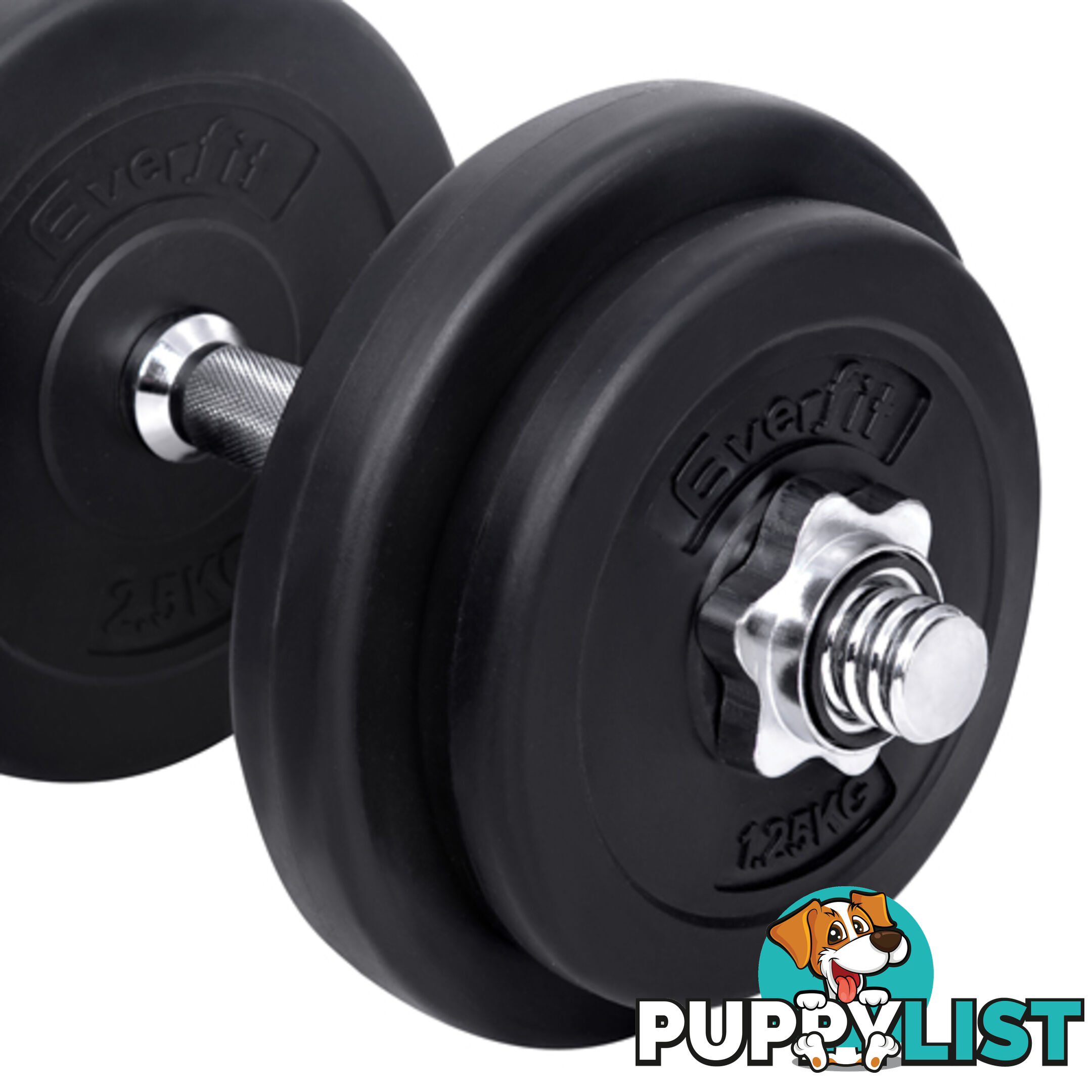 20kg Fitness Gym Exercise Dumbbell Set