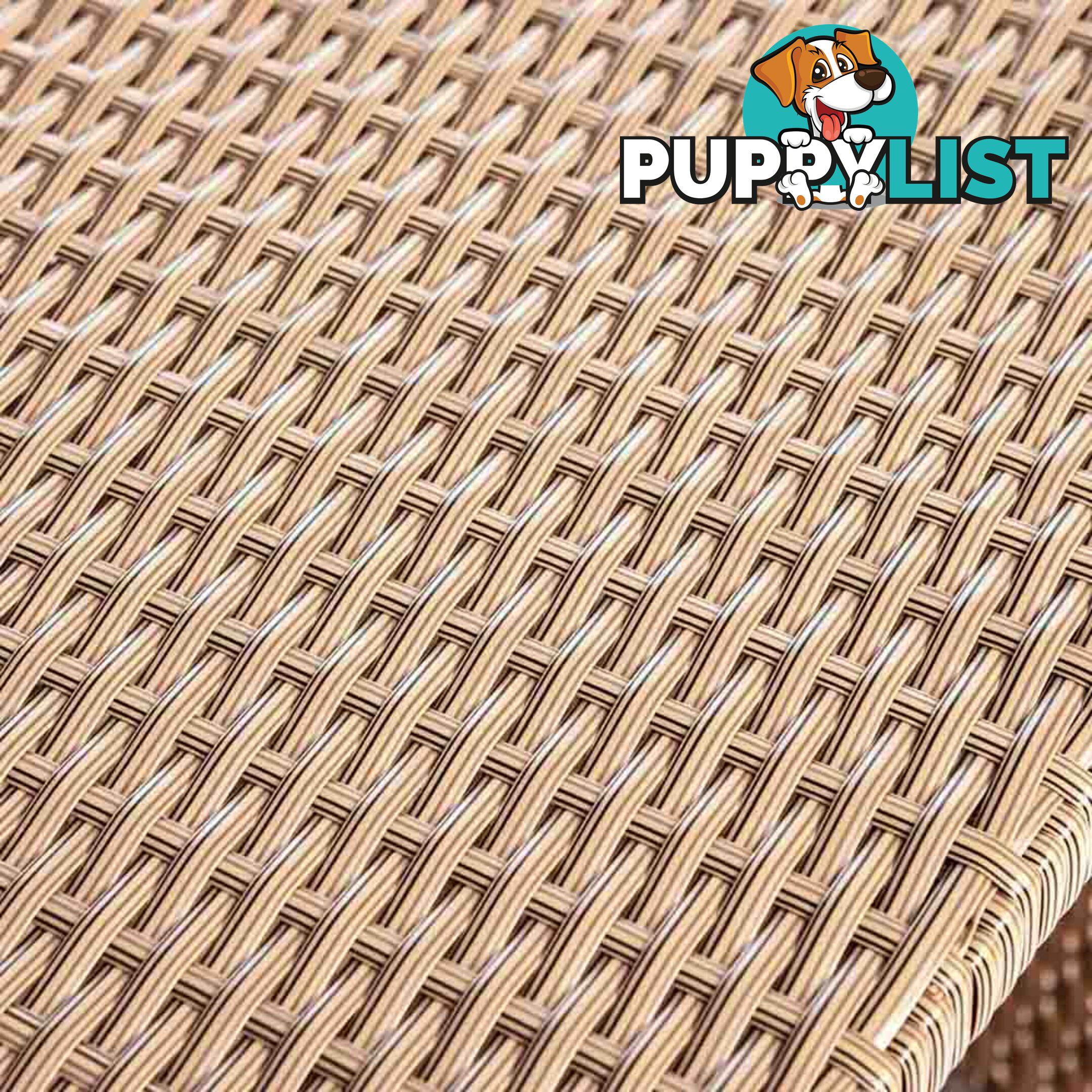 11 pcs Brown Wicker Rattan 10 Seater Outdoor Dining Set Beige