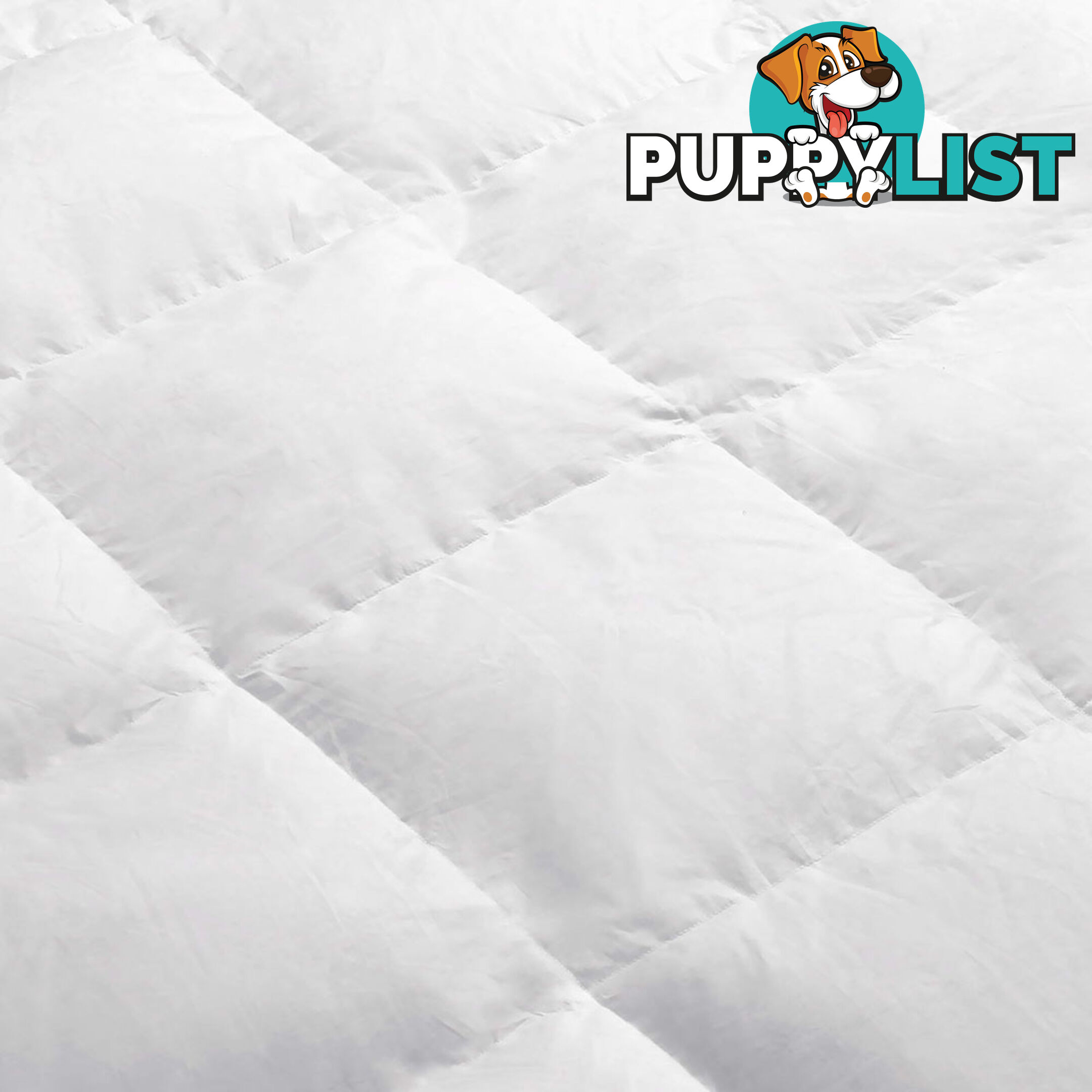 Goose Feather Down Quilt  - King