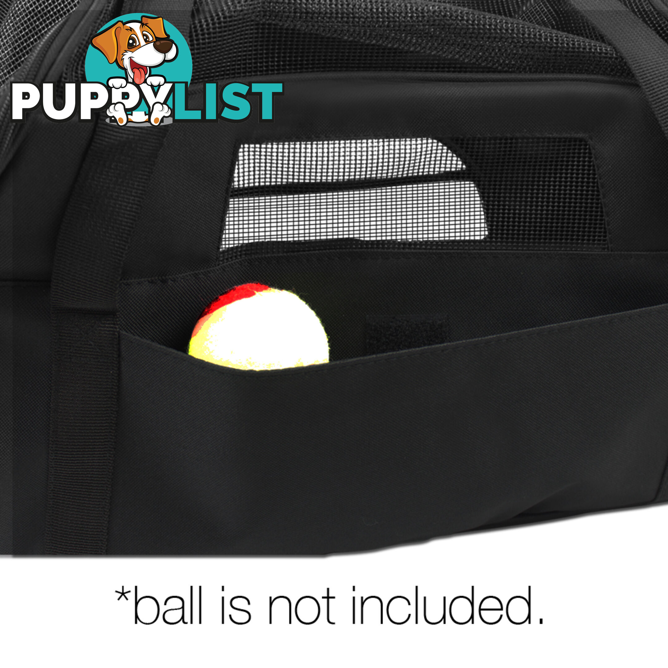 Portable Pet Carrier with Safety Leash - Black