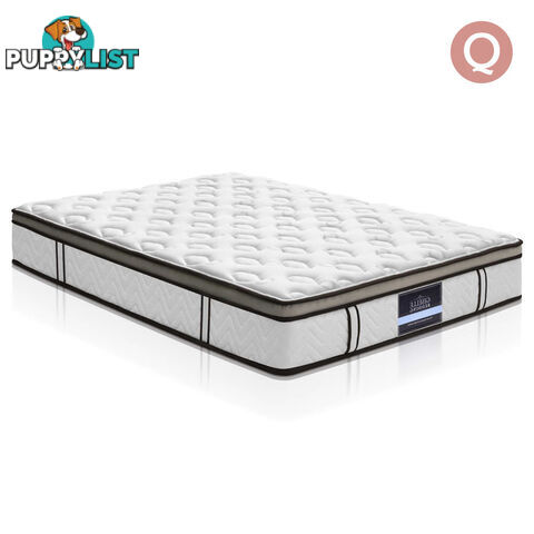 Latex Euro Top Pocket Spring Mattress Back Support Queen