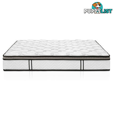 Latex Euro Top Pocket Spring Mattress Back Support King