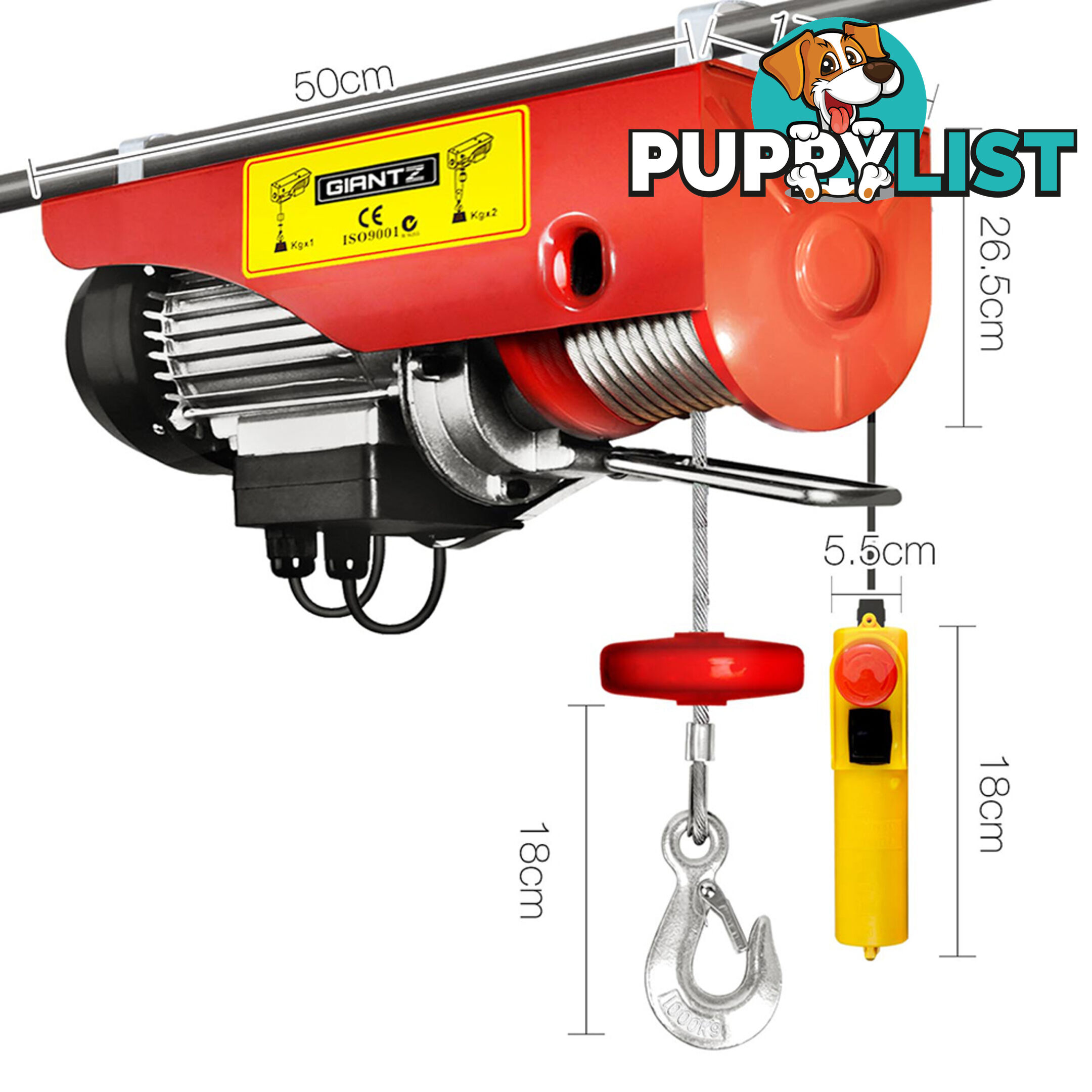 Electric Hoist 18M 1000KG