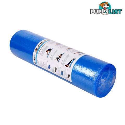 Yoga Gym Pilates EPE Stick Foam Roller Blue 45 x 15cm