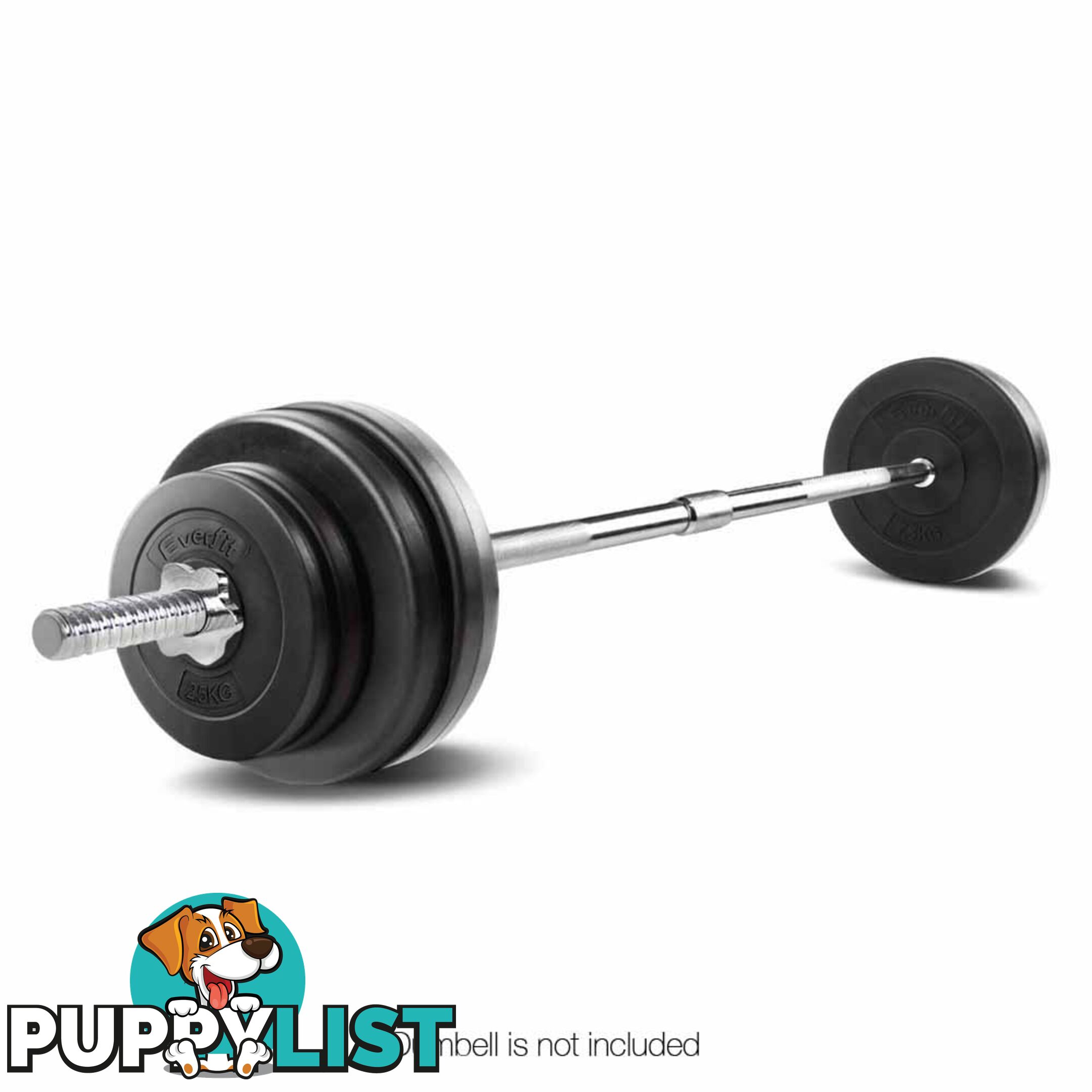 168CM Steel Weight Barbell with Spring Collars