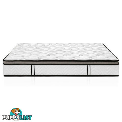 Latex Euro Top Pocket Spring Mattress Back Support Double