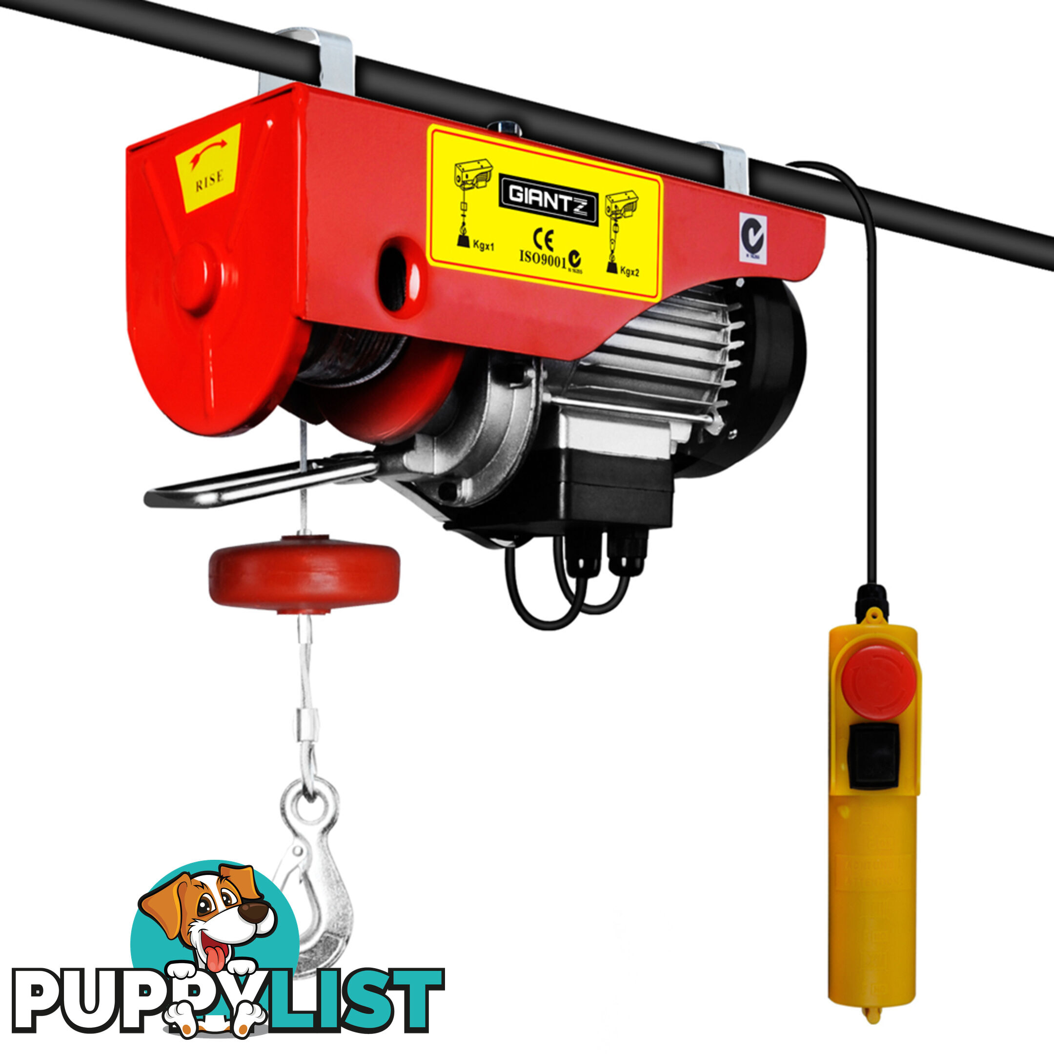 300/600kg 1200 W Electric Hoist Winch