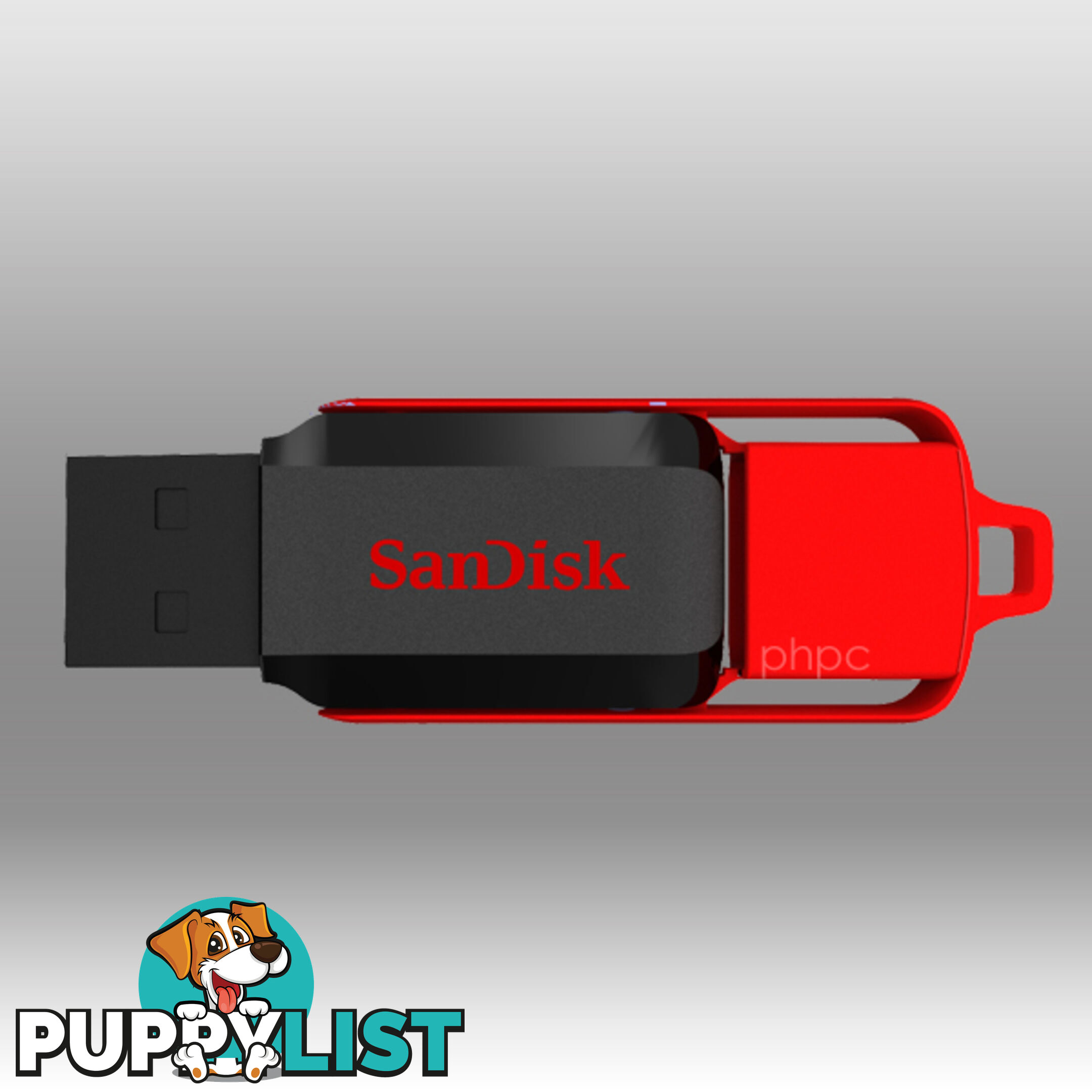 Sandisk Cruzer Switch CZ52 32GB USB Flash Drive