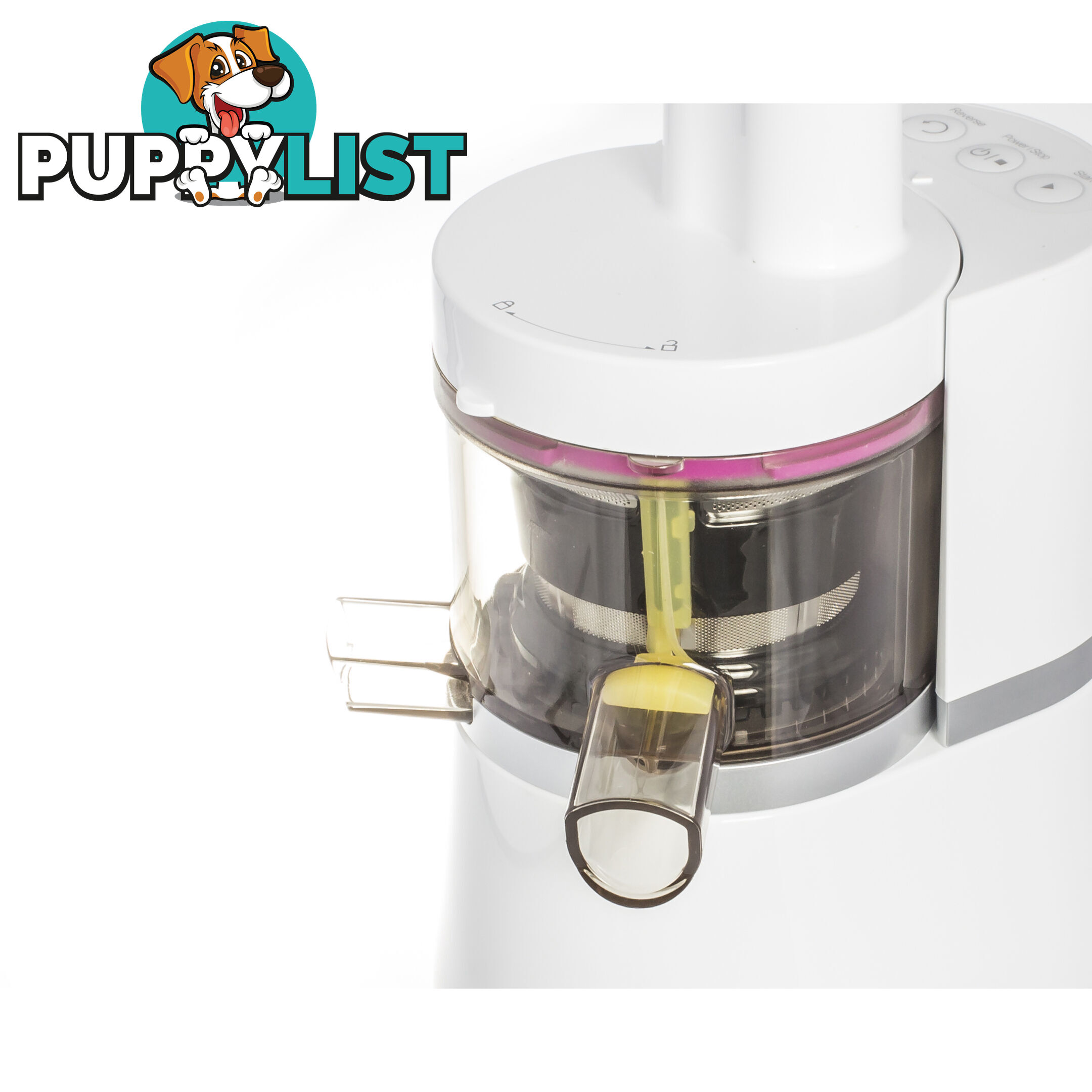 Lifespring Slow Juicer