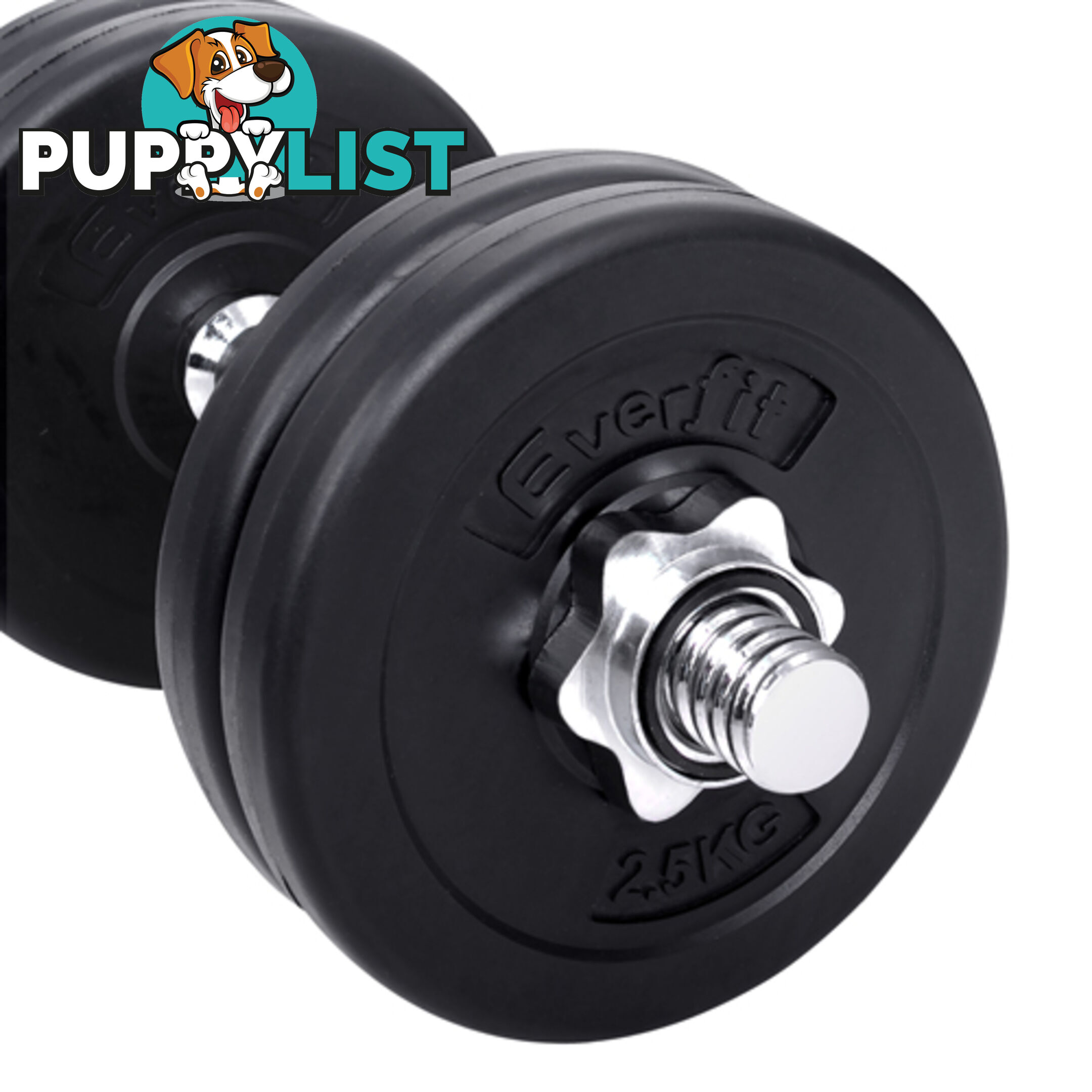 25kg Fitness Gym Exercise Dumbbell Set