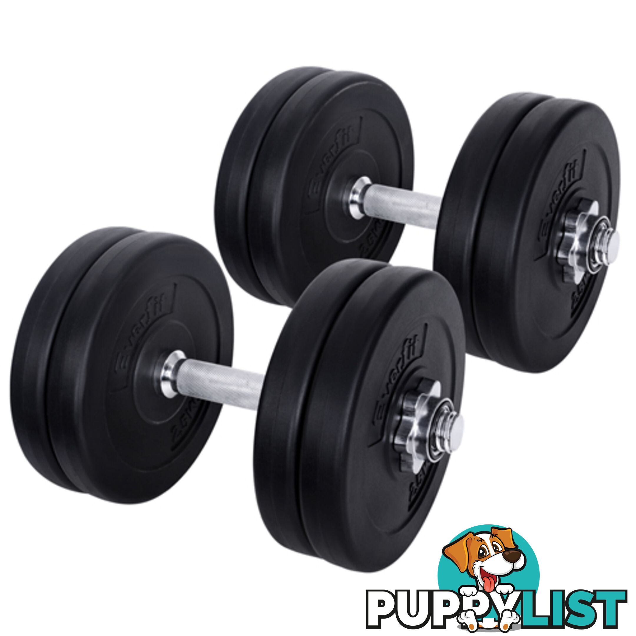 25kg Fitness Gym Exercise Dumbbell Set