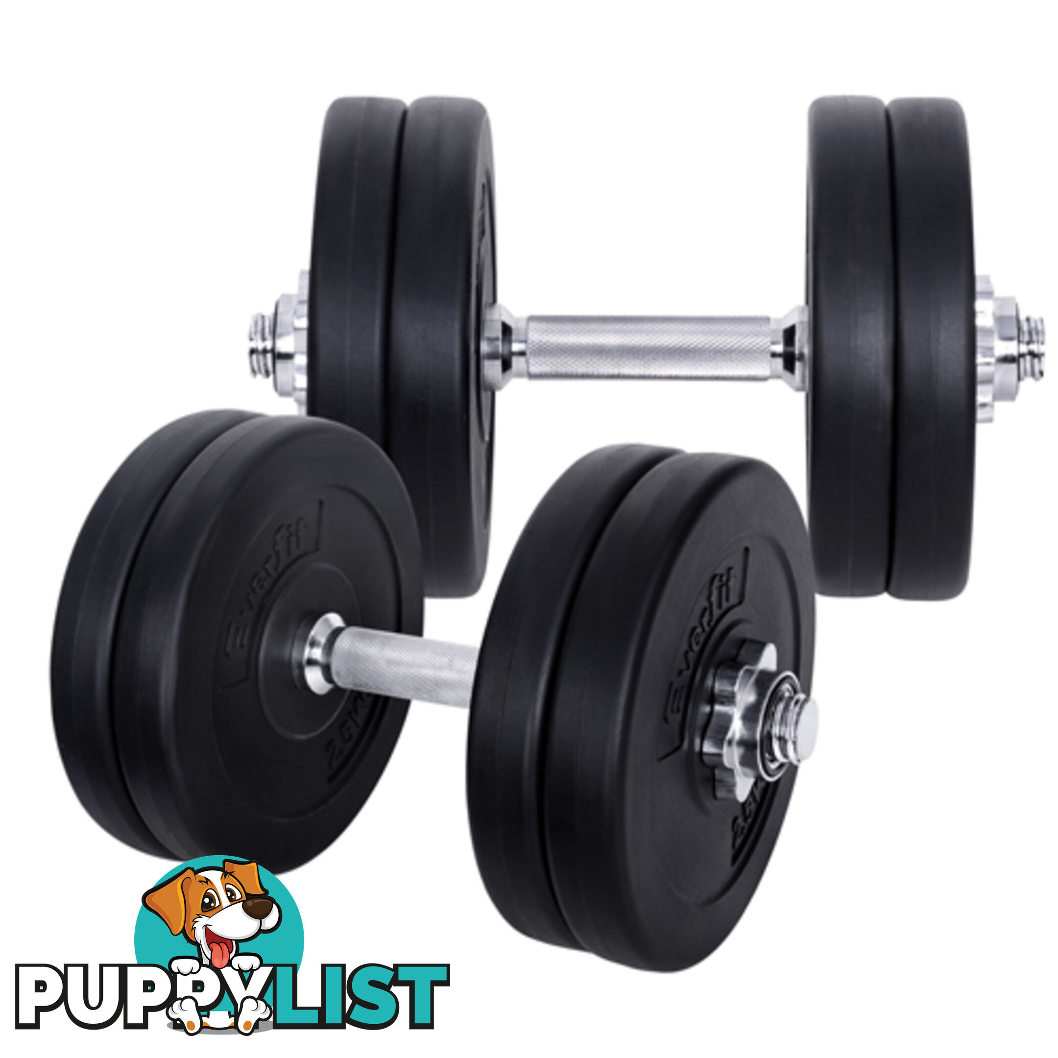 25kg Fitness Gym Exercise Dumbbell Set