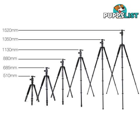 Professional 2 IN 1 Monopod/Tripod Digital Camera 152cm